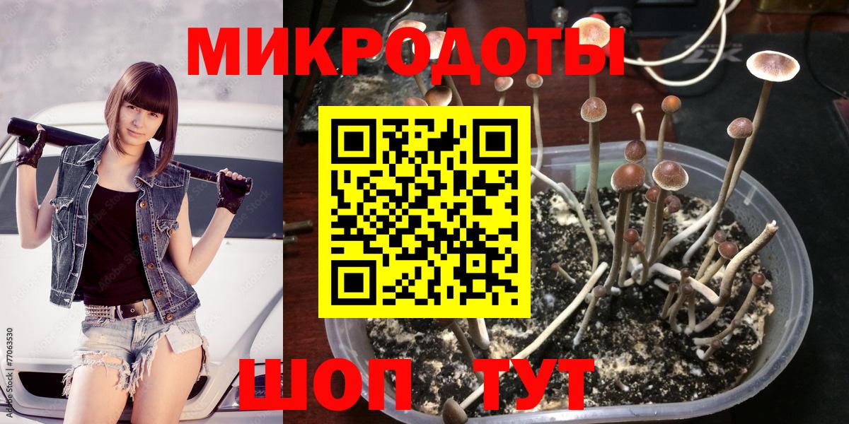 Псилоцибиновые грибы Magic Shrooms  Псилоцибиновые грибы мухоморы  Вход с VPN  Кондопога 