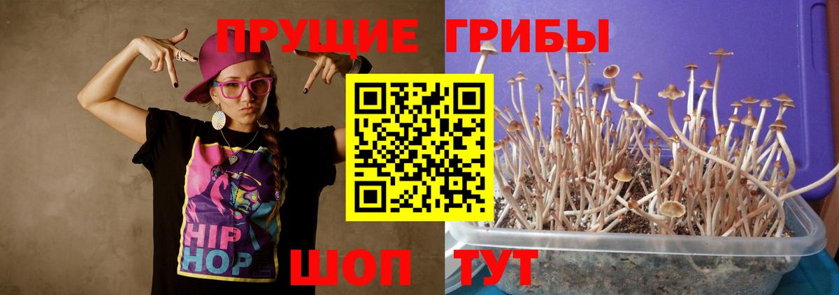 Псилоцибиновые грибы ЛСД Кондопога