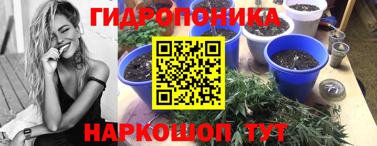 Шишки марихуана SATIVA & INDICA Кондопога